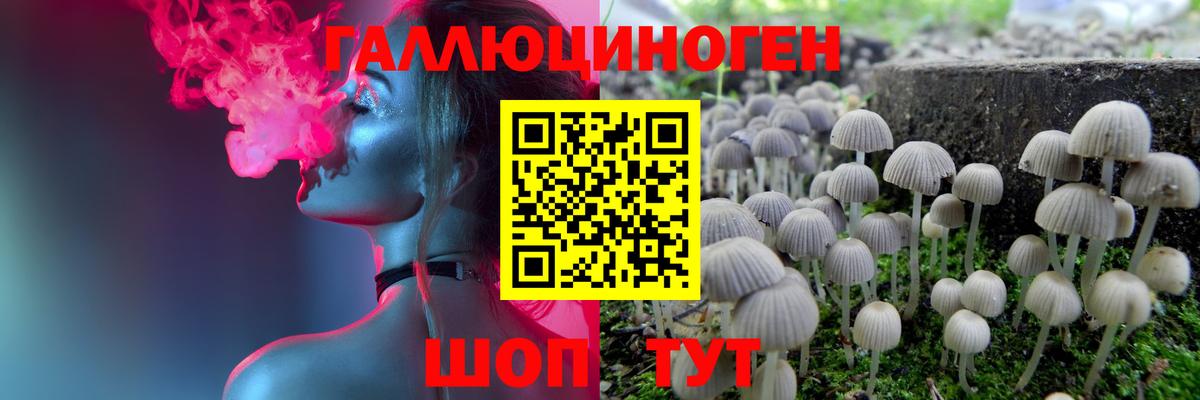Псилоцибиновые грибы прущие грибы Сухой Лог